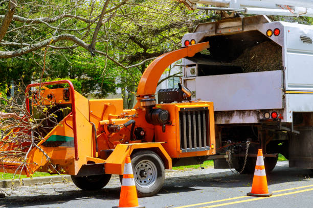 Best Commercial Tree Services  in Bangor, PA